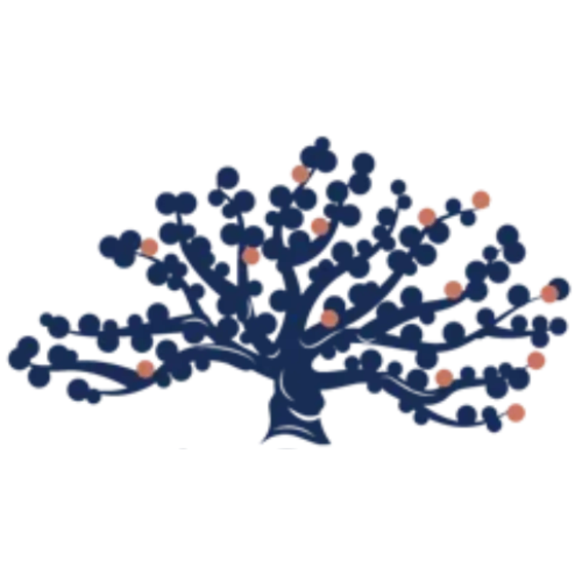 council oak favicon