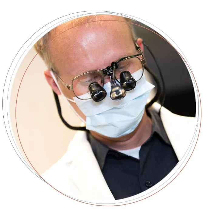 dr bingham 3